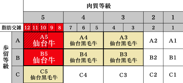 ランク表