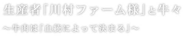 生産者「川村ファーム様」と牛々～牛肉は「血統によって決まる」～