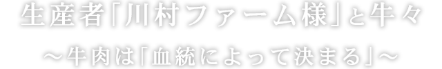 生産者「川村ファーム様」と牛々